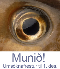 Munið umsóknarfrestinn